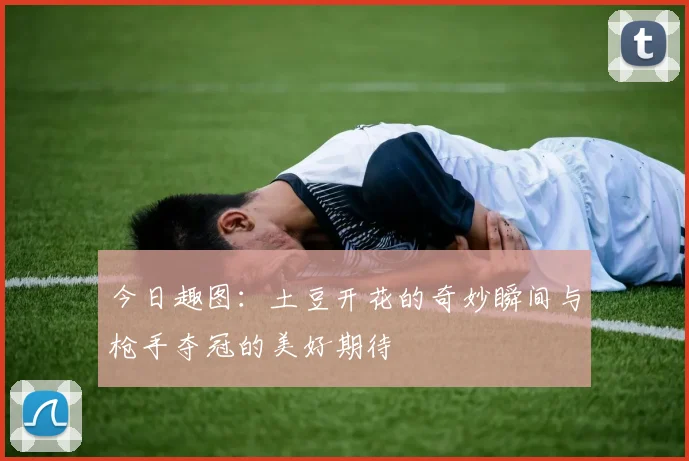 今日趣图：土豆开花的奇妙瞬间与枪手夺冠的美好期待