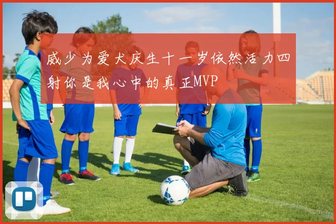 威少为爱犬庆生十一岁依然活力四射你是我心中的真正MVP