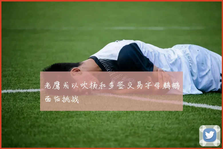 老鹰或以吹杨和多签交易字母鹈鹕面临挑战